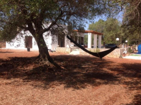 Casa tra ulivi e mandorli San Vito Dei Normanni